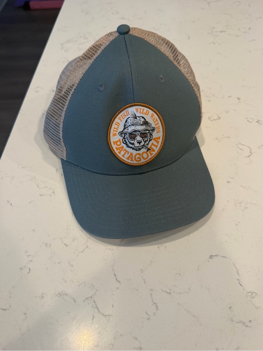Patagonia Two-Tone Blue-Green Trucker Hat with Badge